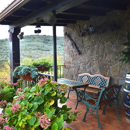 Casa Rural Los Olivos Сотосеррано Экстерьер фото